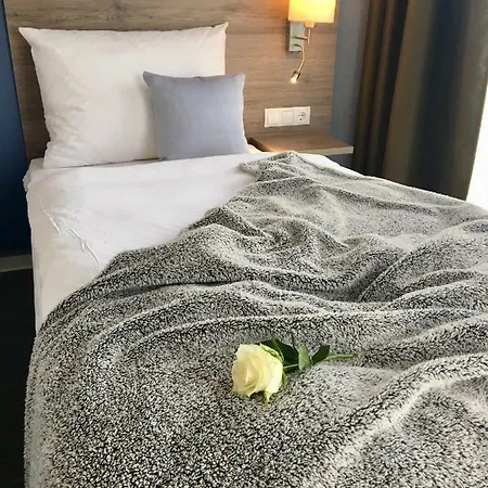Stadthotel Arte ホテル レマーゲン