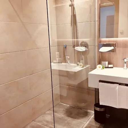 Stadthotel Arte ホテル レマーゲン