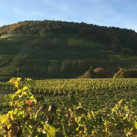 Stadthotel Arte Ξενοδοχείο 3*