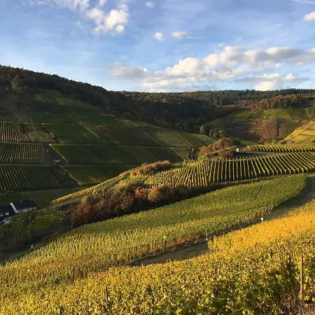 Stadthotel Arte Hotel