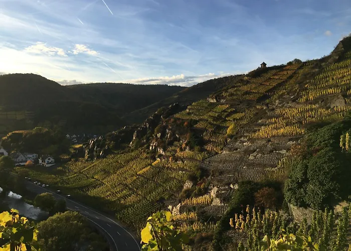 Stadthotel Arte Hotel Remagen