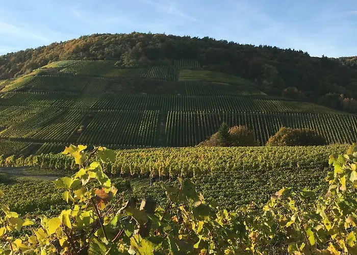 Stadthotel Arte Hotel 3*