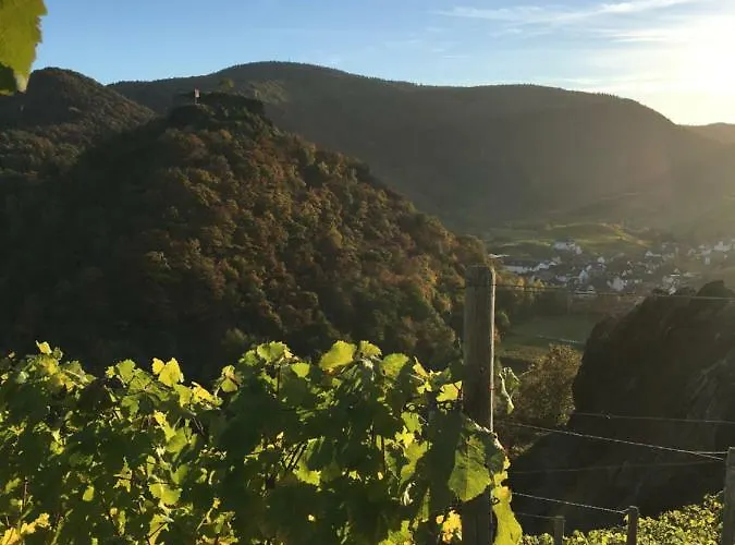 Stadthotel Arte 3* Remagen